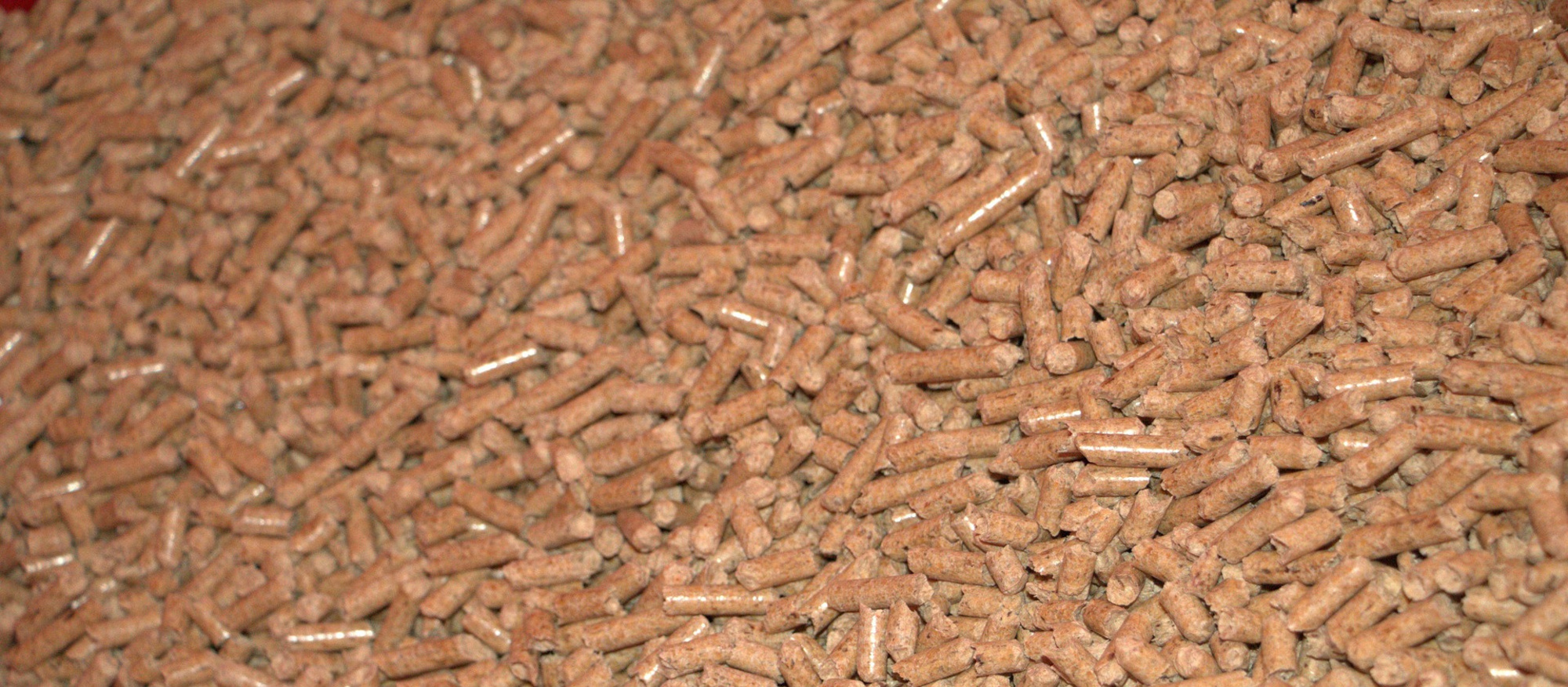 pellets-gb5237fb7f_1920
