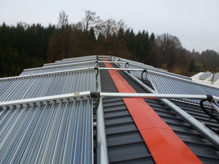 Harry_Wahl__17511_BV_Carplast__27___Medium_